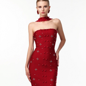 Nesya Sleeveless Pearl Wine Bandage Maxi Dress