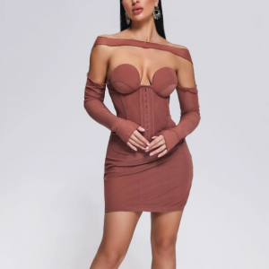 Slare Mesh Mini Dress