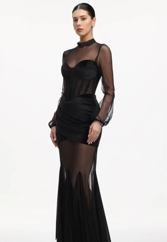 Molia Sexy Contour Long Sleeve Velvet Mesh Maxi Dress